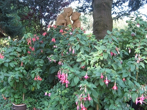 Konrad Näser Garten Foto Brandt